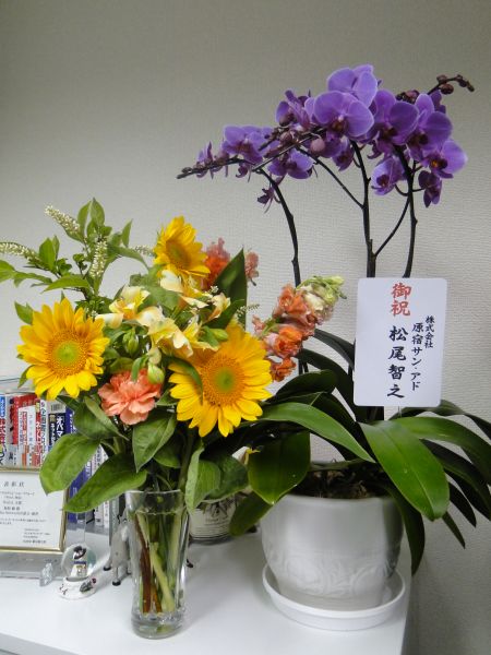 DSC05144.JPG