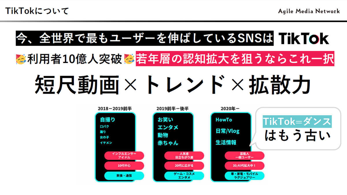 TiTok運用代行 画像